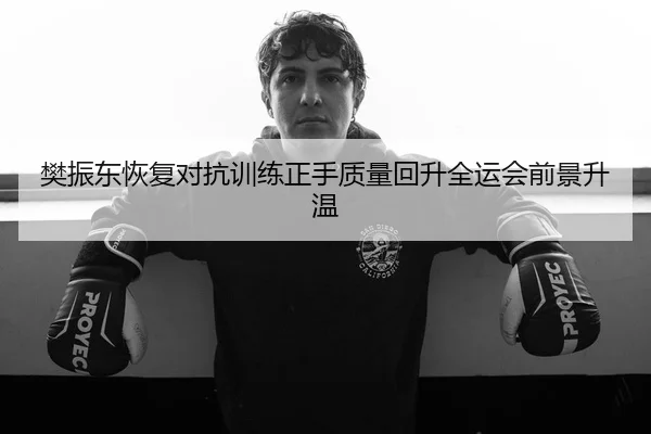 樊振东恢复对抗训练正手质量回升全运会前景升温