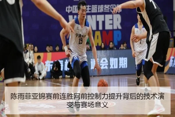 陈雨菲亚锦赛前连胜网前控制力提升背后的技术演变与赛场意义